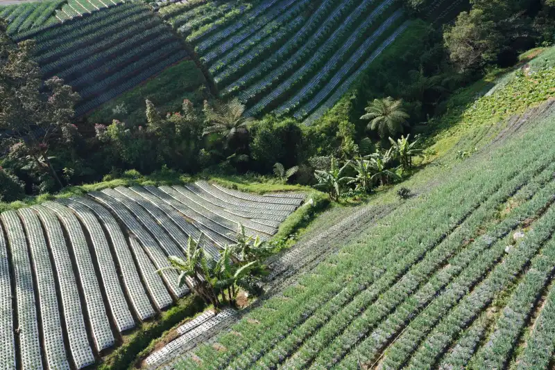数码印花技术对比：热转印与直喷工艺在T恤定制中的适用场景分析