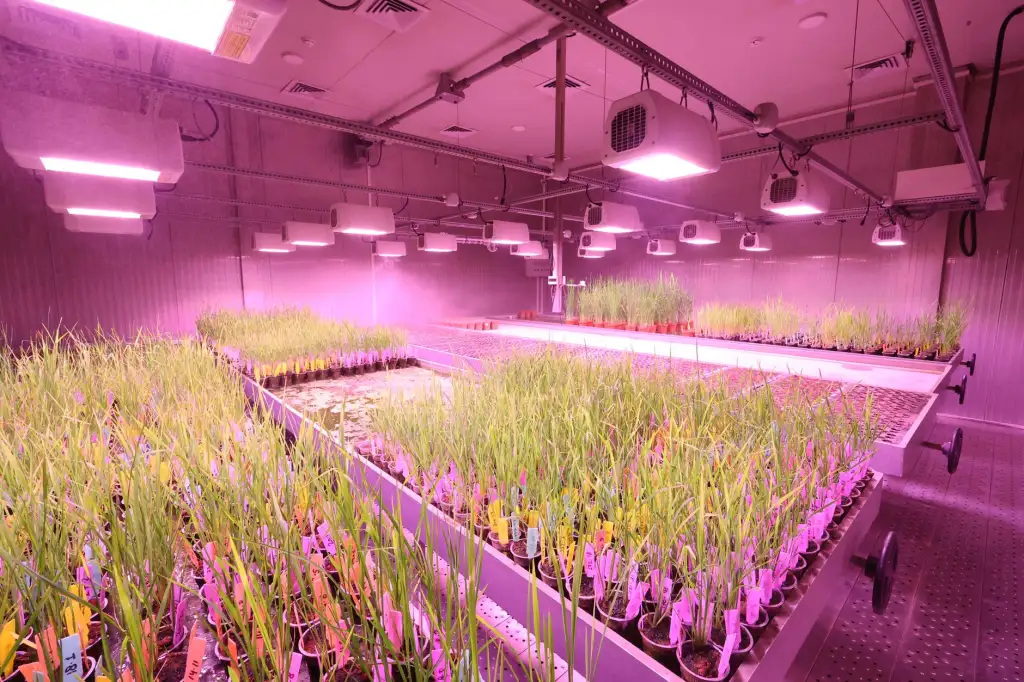 班服制作如何选择印花工艺：数码直喷与传统丝印对比分析