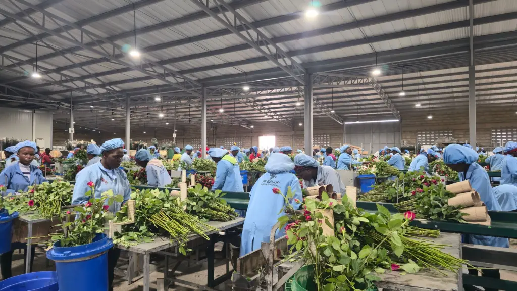 团体服装加工订单中T恤印花工艺的选型对比与方案设计
