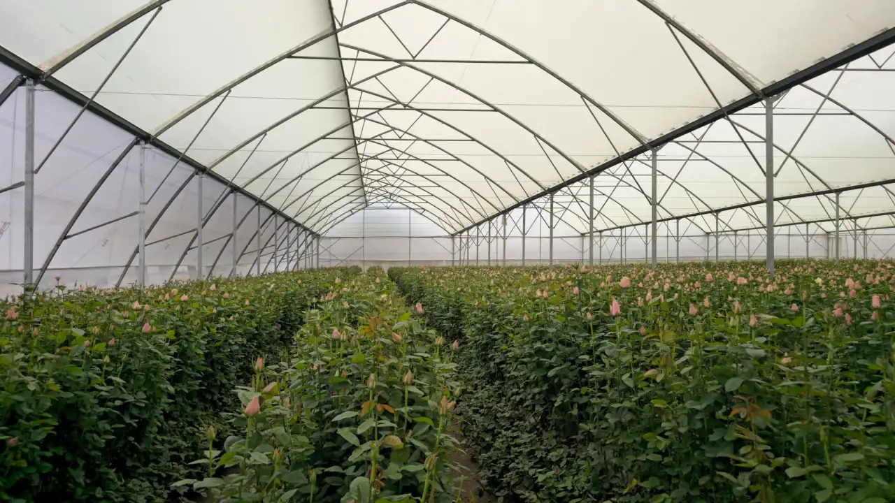 数码印花技术在班服定制中的工艺优势与质量控制要点