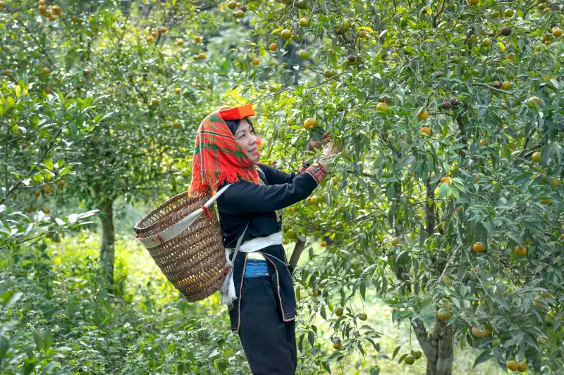 数码印花与丝网印花在T恤定制中的工艺对比与选型建议正文配图 1