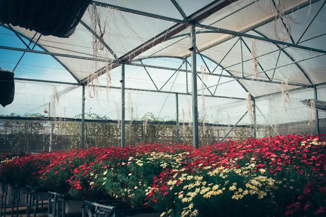 团体服装加工中数码印花与丝网印刷的工艺对比与选型指南