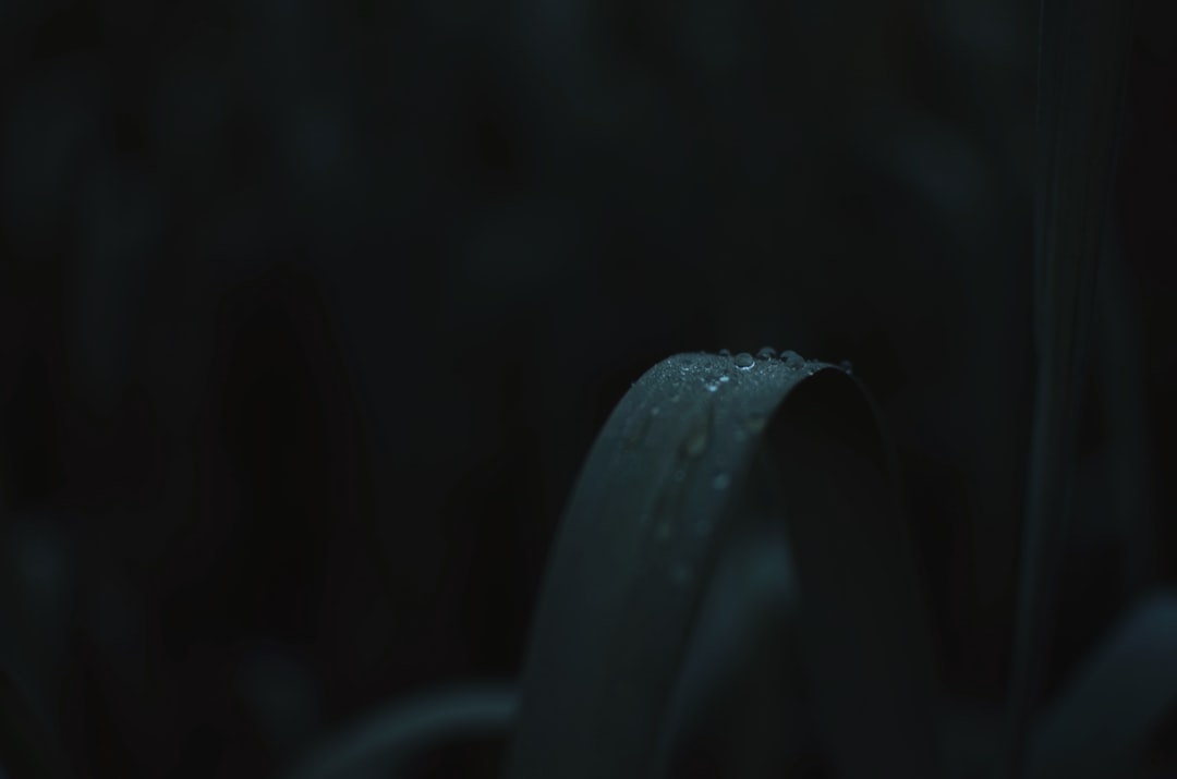 数码印花与丝网印花在班服定制中的工艺对比与选型分析